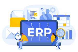 ERP Partner